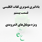 تَلای بیست: حشرات