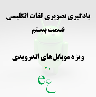 تَلای بیست: حشرات